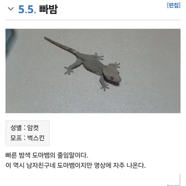 Profile image of 빠밤이