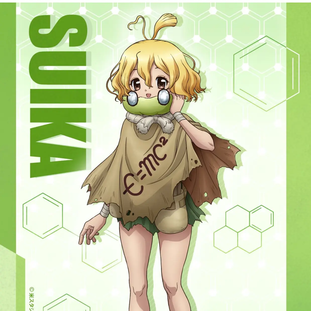 StupidShop6388의 スイカ