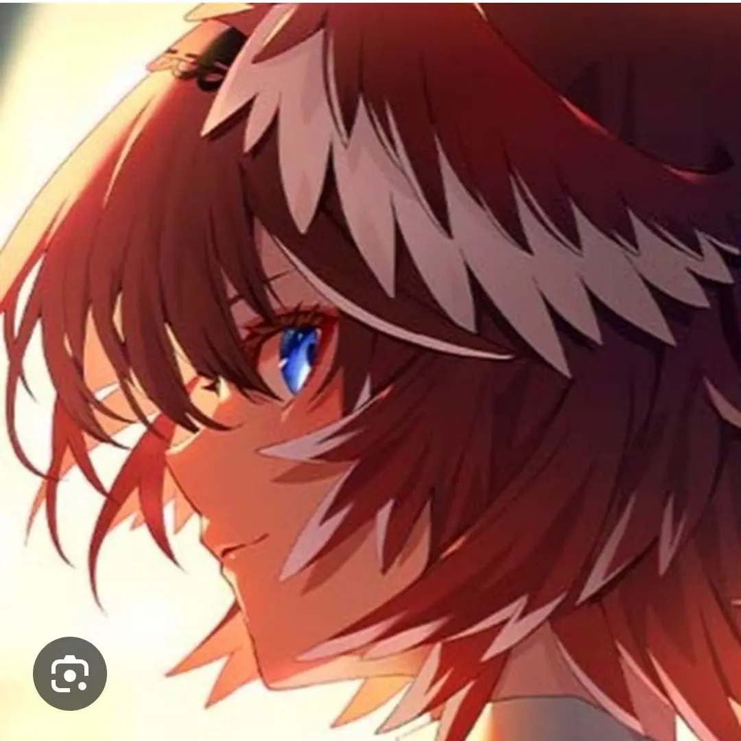 NuttyGlobe2171의 貴方はホロックスの一員！