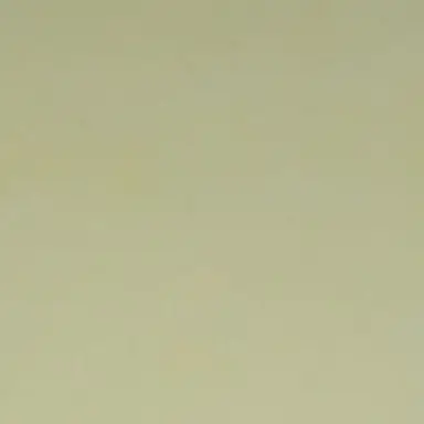 Profile image of らいと