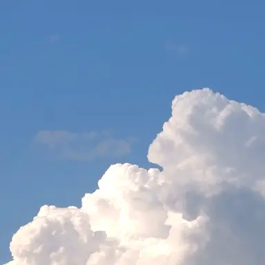 Profile image of 김각별