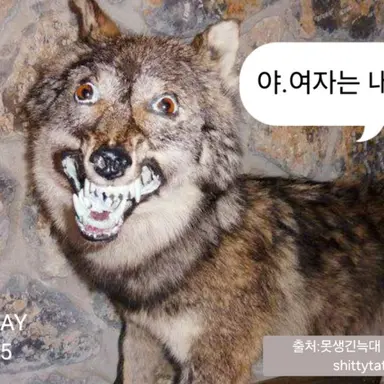 Profile image of 늑대