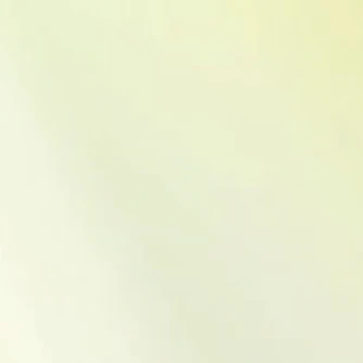 玉森裕太