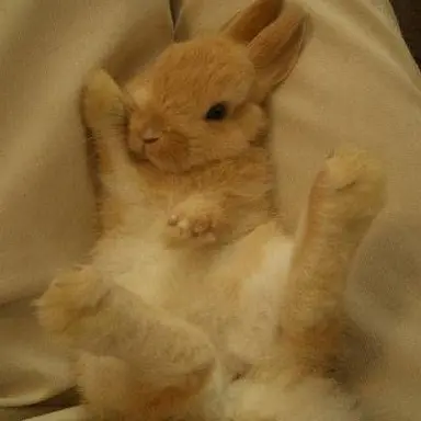 Profile image of 末次看守長