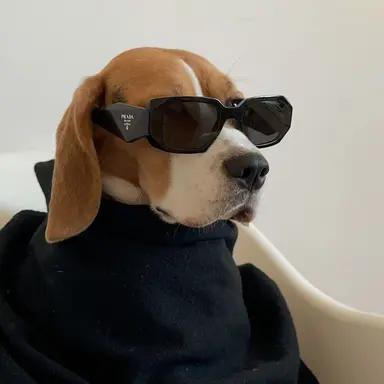 Profile image of 中島副看守長