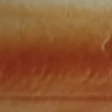 Profile image of 덕개