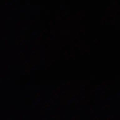 Profile image of 리제