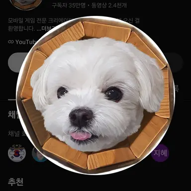 Profile image of 뽁구