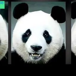 Profile image of 평학