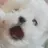 모찌엘