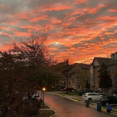 Profile image of 덕개