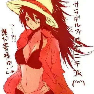 QuietArena0920의 Fem Luffy