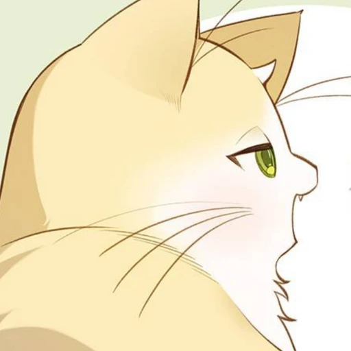 양이