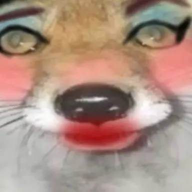 Profile image of 피치폭스
