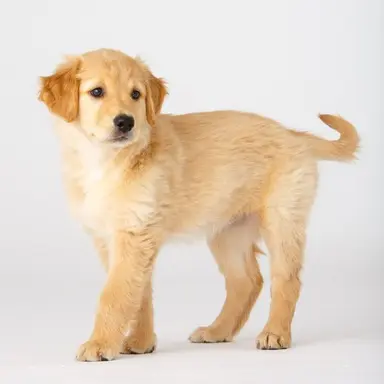 Profile image of 버터