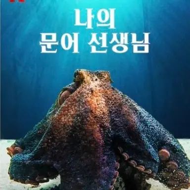 Profile image of 문어발 학원