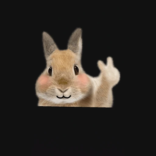 똥돼지