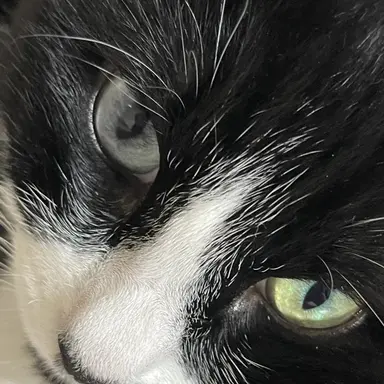 Profile image of 라헬