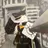 오가니즈
