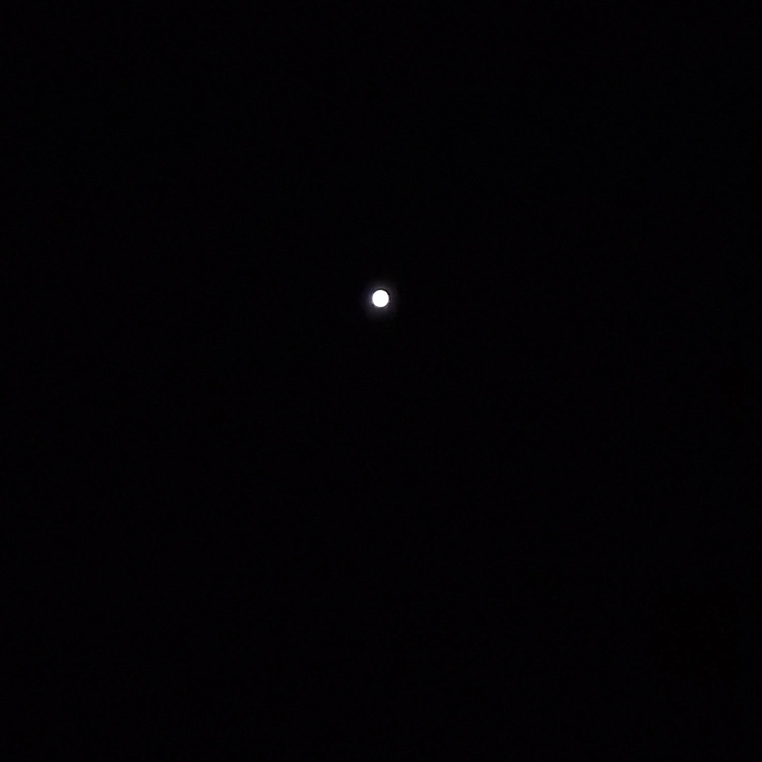 BiasedCage8919의 카리나