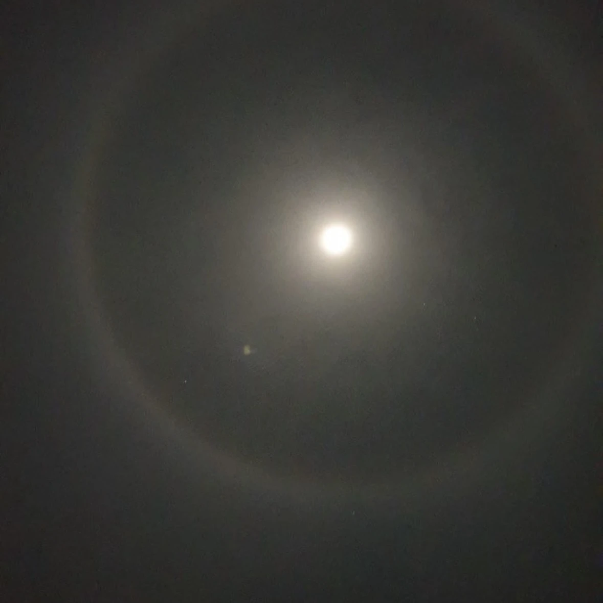 선우