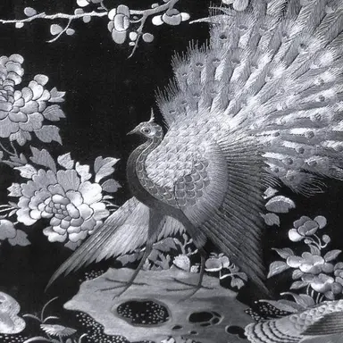 Profile image of 희재