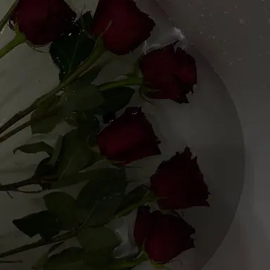 Profile image of 정공룡