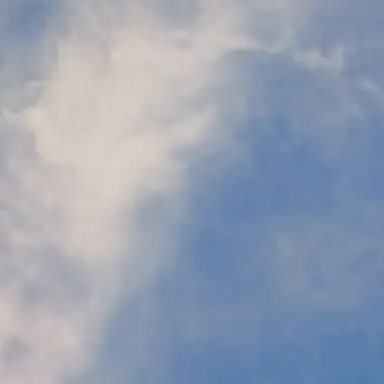 Profile image of 설명서