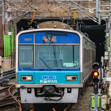 Profile image of 4호선 납작이