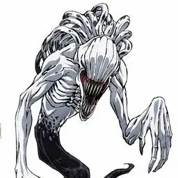 Profile image of 折本里香