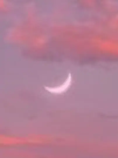 FluffyClamp7120의 空から降ってきた貴方（？）