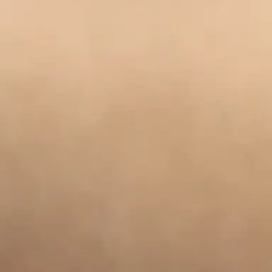 Profile image of ろしあ