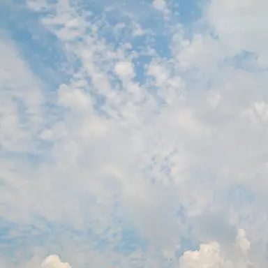 Profile image of 정영주