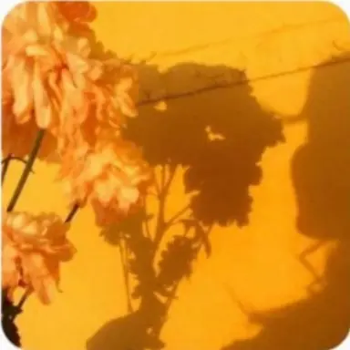 Profile image of 吉田仁人