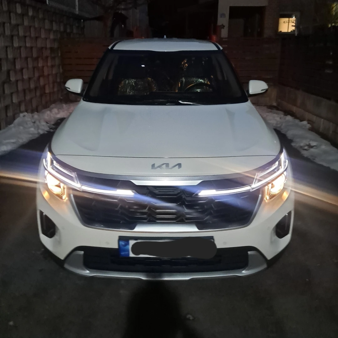 셀토스