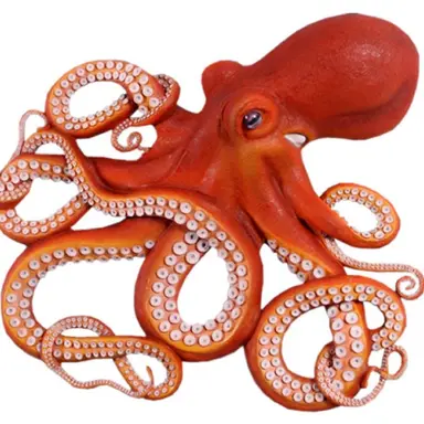 Profile image of たこ