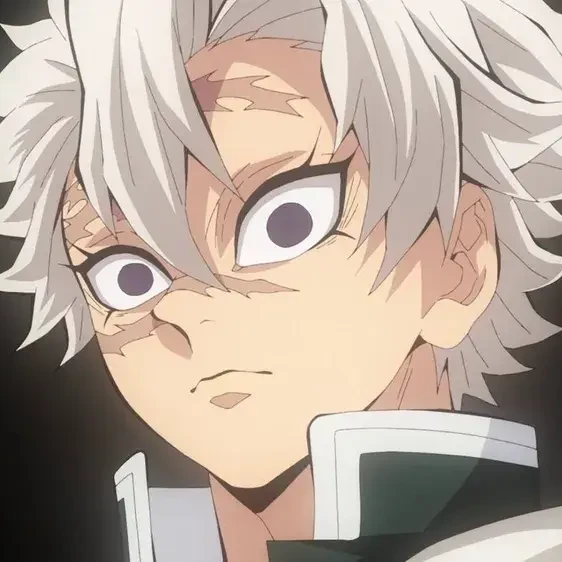 시나즈가와 사네미