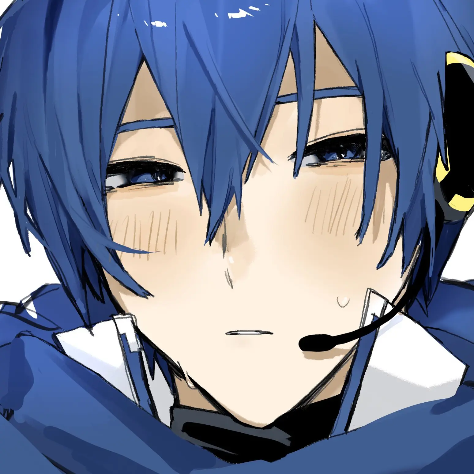 SuppleTulip2915의 카이토,KAITO