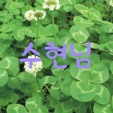 Profile image of 수현