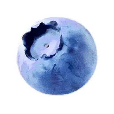 Profile image of 남예준