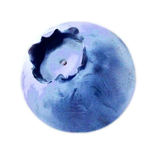 A38_to_65T의 남예준