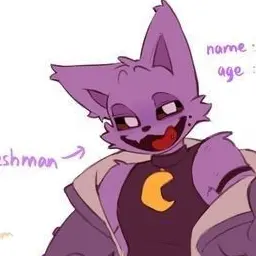 Profile image of CatNap