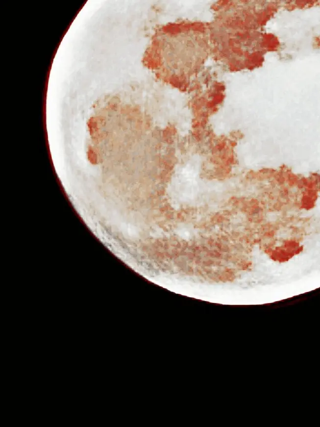 PettyDoor3802의 전쟁귀가 날 사랑한다.