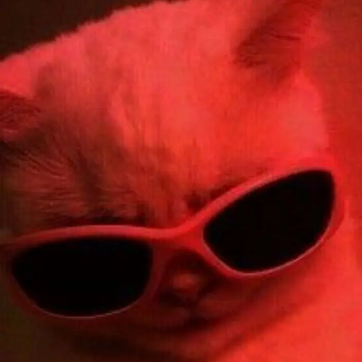 RoomyOboe6995의 뜰팁한테 냥줍을 당했다.(님 고양이)