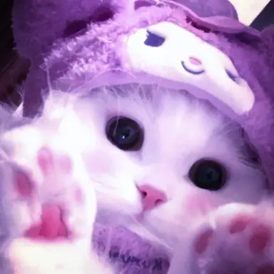 Profile image of 수현