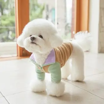 Profile image of 토비