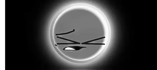Profile image of 金星