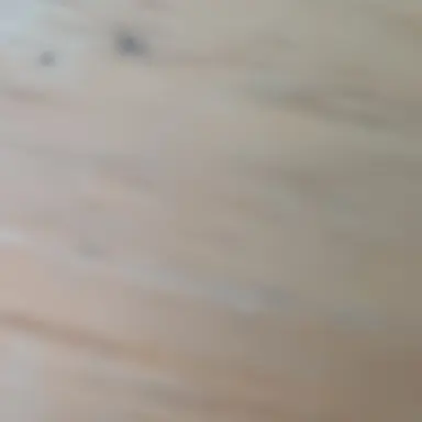 Profile image of 나이트메어