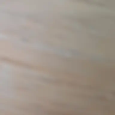 Profile image of 싸이클