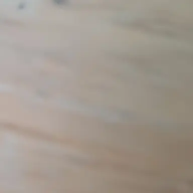 Profile image of 로베